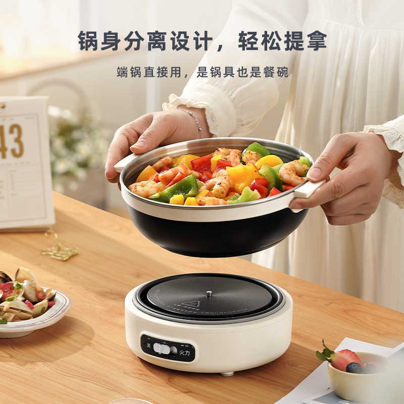 Draagbare opvouwbare elektrisc - Home Cooking Business recensie en prijs